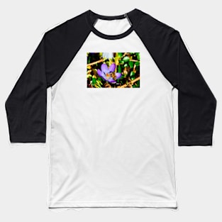 Honeybee II / Swiss Artwork Photography Baseball T-Shirt